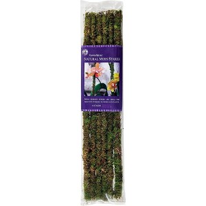 SuperMoss Preserved Moss Plant Support Stakes, Fresh Green, 18" (Pack of 6) - 1 of 2