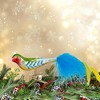 Inge Glas 1.75 In Rainbow Finch Ornament Clip-On Bird Spring Easter Tree Ornaments - 2 of 4