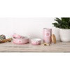 Bone Dry Pet Bowl - Paw Patch - 3 of 4