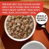 Rachael Ray Nutrish Chunks in Gravy Beef & Vegetable Wet Dog Food - 13oz - 3 of 4
