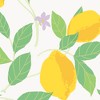 Envy Feeling Fruity Fresh Wallpaper - 4 of 4