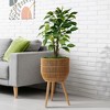 Casafield Planter Basket with Stand, Floor Planter with Wood Legs, Large Plant Pot Cover with Liner - 3 of 4