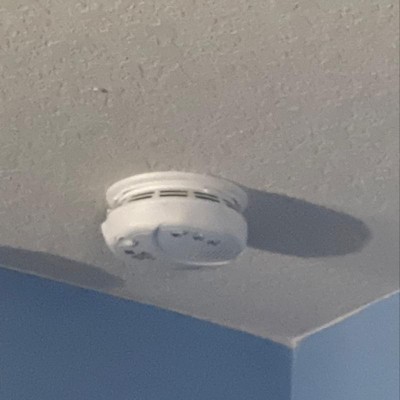 Guest review image 1 of 1, zoom in