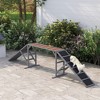 PawHut Dog Agility Equipment, Dog Playground Ramp with Safety Bar, Non-slip Surface, for Park, Backyard, Walk and Pause Training, Gray - 3 of 4