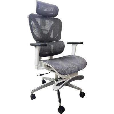 Ergonomic Mesh Office Chair with Footrest, High Back Computer Executive Desk Chair with Lumbar Support, Office Computer Desk Chair