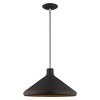 Livex Lighting Metal Shade 1 - Light Chandelier in  Black - 2 of 4