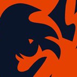 chicago bears
