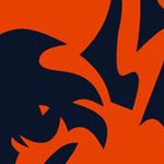 chicago bears