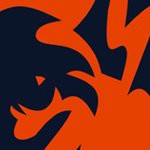 chicago bears