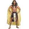 Dreamgirl Golden King Men's Costume - 3 of 3