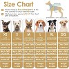 Dog Sweaters Girls Boys, Stretchy Turtleneck Pet Knitwear for Small Pets, Warm Fall Doggie Sweatwer, Clothes for Yorkie, Chihuahua, Teacup - 2 of 4