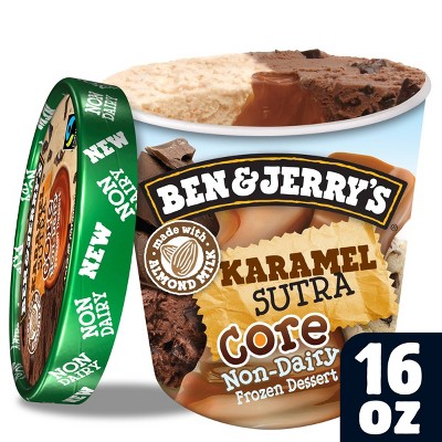 Ben & Jerry's Vegan Ice Cream Karamel Sutra Core Frozen Dessert - 16oz