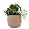 SEVOBAL Planters 3-Piece Modern Ceramic Glossy Flower Pots, Frost-Resistant with Drainage Holes for Indoor, Outdoor, Beige, 19.7"*19.7"*17.8" - 2 of 4