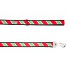 The Worthy Dog Holiday Stripe Dog Leash - 3 of 3