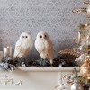 Winter Owl Decor (Set of 2) - 3 of 4