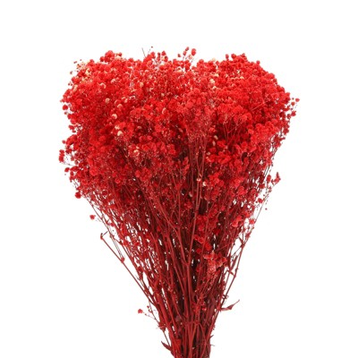 Unique Bargains Natural Dried Baby's Breath Flowers Branches for Wedding Party Decoration Red 2 Pcs
