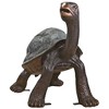 Design Toscano The Curious Tortoise Cast Bronze Turtle Garden Statue - 3 of 4