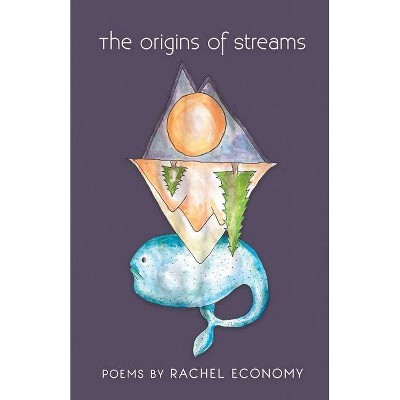 The Origins of Streams - by  Rachel Economy (Paperback)