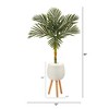 Nearly Natural 4.5-ft Golden Cane Artificial Palm Tree in White Planter with Stand - 2 of 4