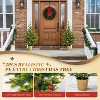 VINGLI 4ft Artificial Christmas Trees (2-Pack), PE Material, Plastic Pots, 119 Tips Each, for Bedroom Office Dorm Decor - 4 of 4