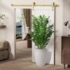 KTMBDW Ceramic Flowerpot, Modern Planter with Featuring Glossy finish for Patio, Garden, Windowsill - 2 of 4