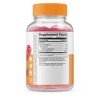 Lifeable Zinc for Adults, for Immune Support, Vegan, 90 Gummies - 2 of 3
