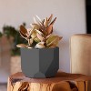 Bloem Tuxton Geometric Resin Planter Pot with Optional Knock-Out Drainage - 2 of 4