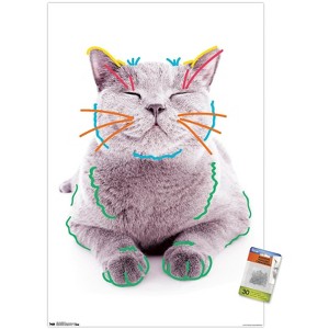 Trends International Cat - Funny Face Unframed Wall Poster Prints - 1 of 4