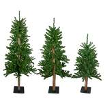 Northlight Set of 3 Alpine Artificial Christmas Trees 3', 4'and 5'- Unlit