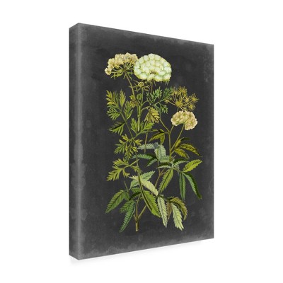 Trademark Fine Art -Naomi Mccavitt 'Bookplate Floral I' Canvas Art