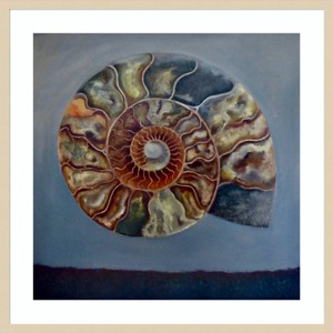 33" x 33" Ammonite Shell Layers by Lee Campbell Wood Framed Wall Art Print - Amanti Art : Giclee Print, Hardwood Frame - 1 of 4