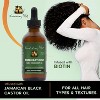 Sunny Isle Rosemary Mint Hair & Strong Roots Oil Double Growth Formula - 3 oz - 2 of 2
