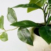 8.5" Small Trailing Hoya Leaf Potted Artificial Plant - Hearth & Hand™ with Magnolia - 3 of 3