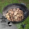Steven Raichlen Smoking Wood Chunks (Hickory) - 10 Pound Box Kiln Dried BBQ Large Cut Chips- All Natural Barbecue Smoker Chunks- 840 cu. in. (0.013m³) - 2 of 4