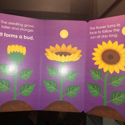 Gran Libro De Letras Y Números Montessori - By Delphine Urvoy (paperback) :  Target