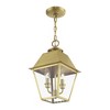 Livex Lighting Wentworth 2 - Light Pendant in  Natural Brass - 2 of 4