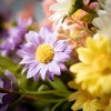 19.5"H Sullivans Cheery-Colored Daisy Bushes Set of 4, Multicolored - 2 of 2