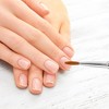 Unique Bargains Double Head Nail Painting Brushes for Polish Painting Gradient Light Blue 1 Pc - 2 of 4