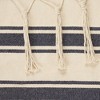 Outdoor Striped Hammock Chair with Fringe Trim - Blue/Cream - Zingz & Thingz - 2 of 4