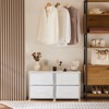 CAVINAS  2-Drawer Dresser with Metal Frame and Wood Top,Modern Chest of Drawers for Bedroom,Entryway,1 Piece - 4 of 4