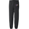 Hunter College Primary Logo Jogger Sweatpants - 2 of 4