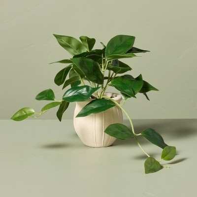 8" Faux Mini Trailing Hoya Plant - Hearth & Hand™ with Magnolia