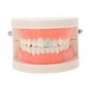 Unique Bargains Fake Teeth Grills Fashion Zircon Single Strip for Hip Hop Gift 1 Set - 2 of 4