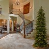 National Tree Company 6.5' PreLit Feel Real Prescott Pencil Slim Hinged Artificial Christmas Tree with 805 Tips - 2 of 3