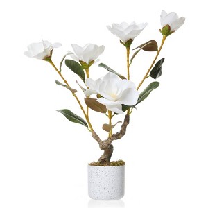 24inch  Artificial Magnolia Tree 2-Pack, Faux Flowers with Green Leaves in White Pots for Home & Office Decor - 1 of 4
