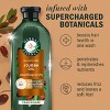 Herbal Essences Jojoba Oil Sulfate Free Conditioner For Frizzy Hair - 13.5 fl oz - 2 of 4