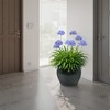 Wooakway 15" Dia Outdoor Indoor Ceramic Planter Pot Decorative Planter with Drainage Hole Patio Flower Pot - 4 of 4