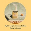 Mrs. Meyer's Clean Day Orange Blossom Scent Pet Stain and Odor Fighter - 16 fl oz - 4 of 4