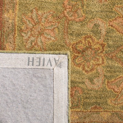 Elegant Jaipur Green/Rust Hand-Tufted Wool Rug - 59" x 84"