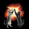 Men's Lost Gods Cat High Five Explosion T-Shirt - image 2 of 4